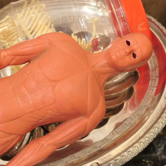 BOX LT VINTAGE ANATOMY MODEL  / 1937 ROYAL TRAY / EP DISH / RETRO 'BAR' SIGN / TROPHIES / INDUSTRIAL VASE / LEATHR BELTS