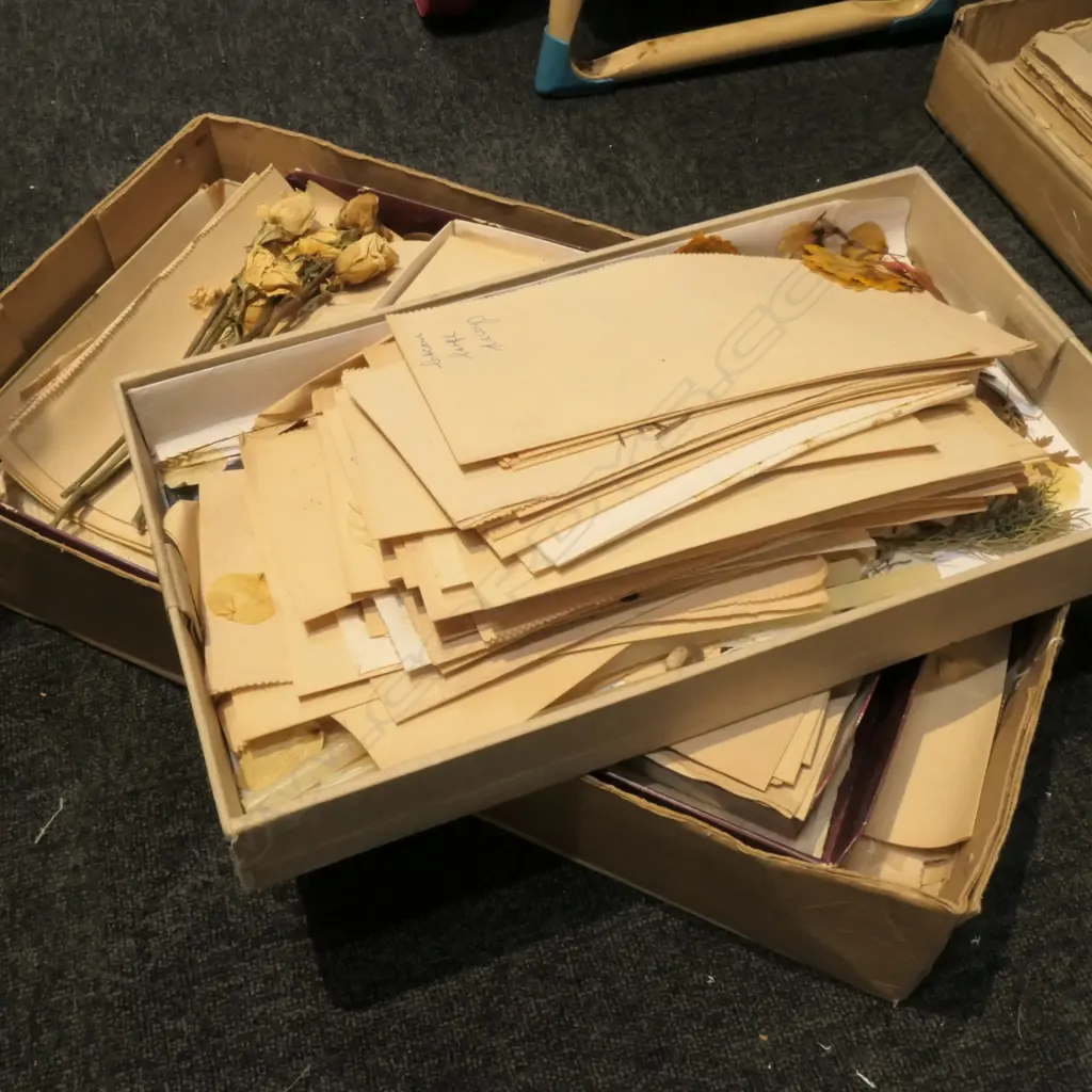 LOT ASST DRIED FLOWER SPECIMENS  Image 1++