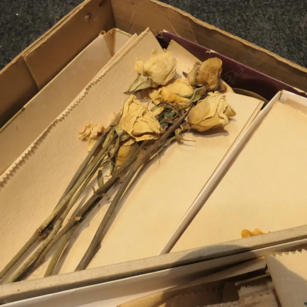 LOT ASST DRIED FLOWER SPECIMENS  Image 1++