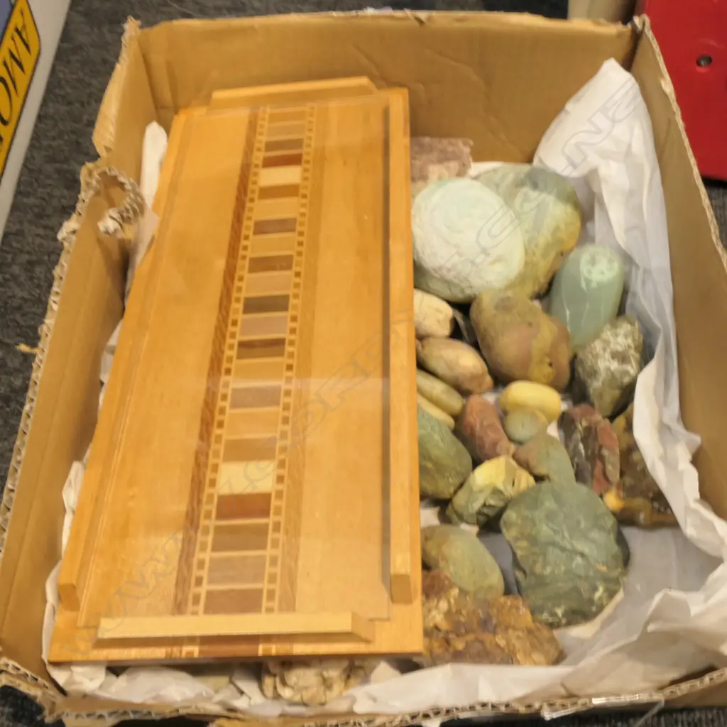 LOT ASST ROCK SPECIMENS AND TRAY Image 1++