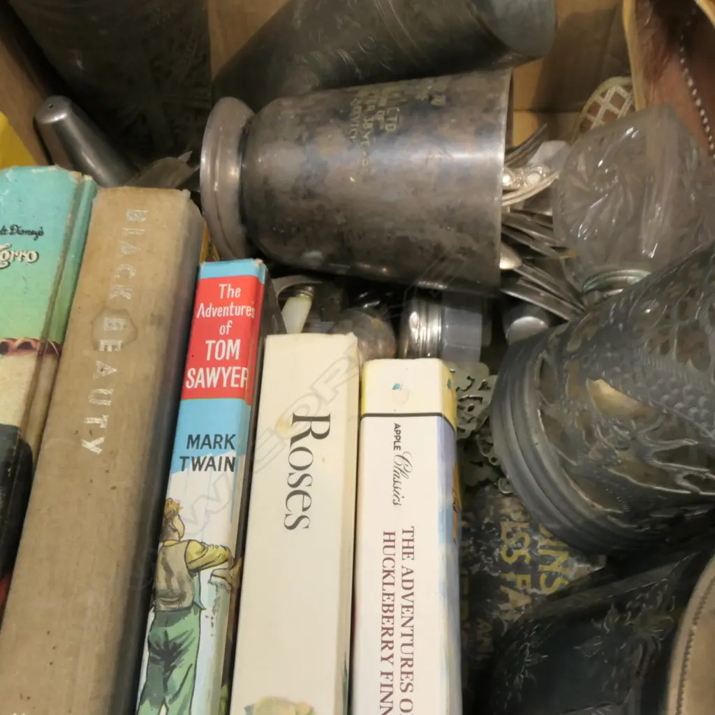 LOT VINTAGE BOOKS / EP WARE ETC Image 1++