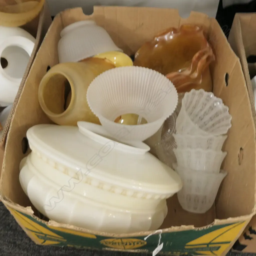 LOT ASST GLASS LIGHT SHADES Image 1++
