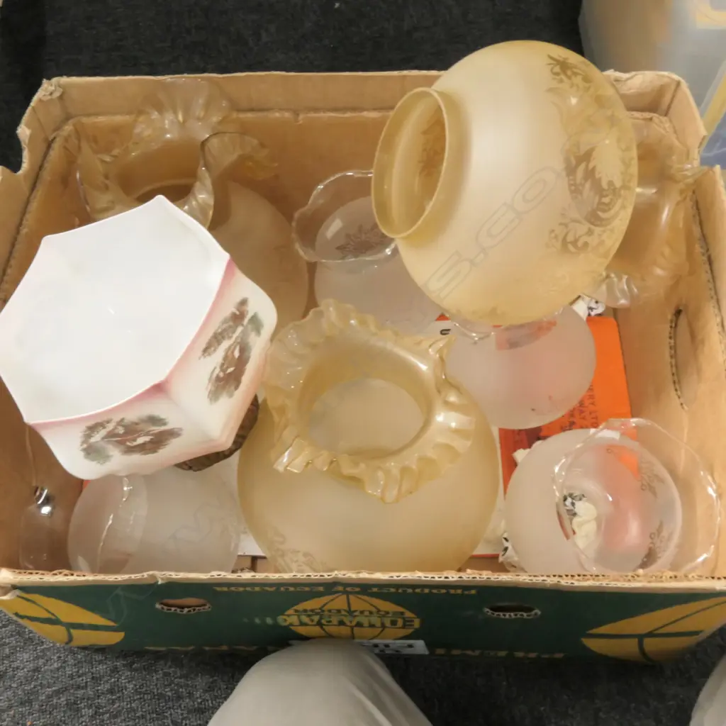 LOT ASST GLASS LIGHT SHADES Image 1++
