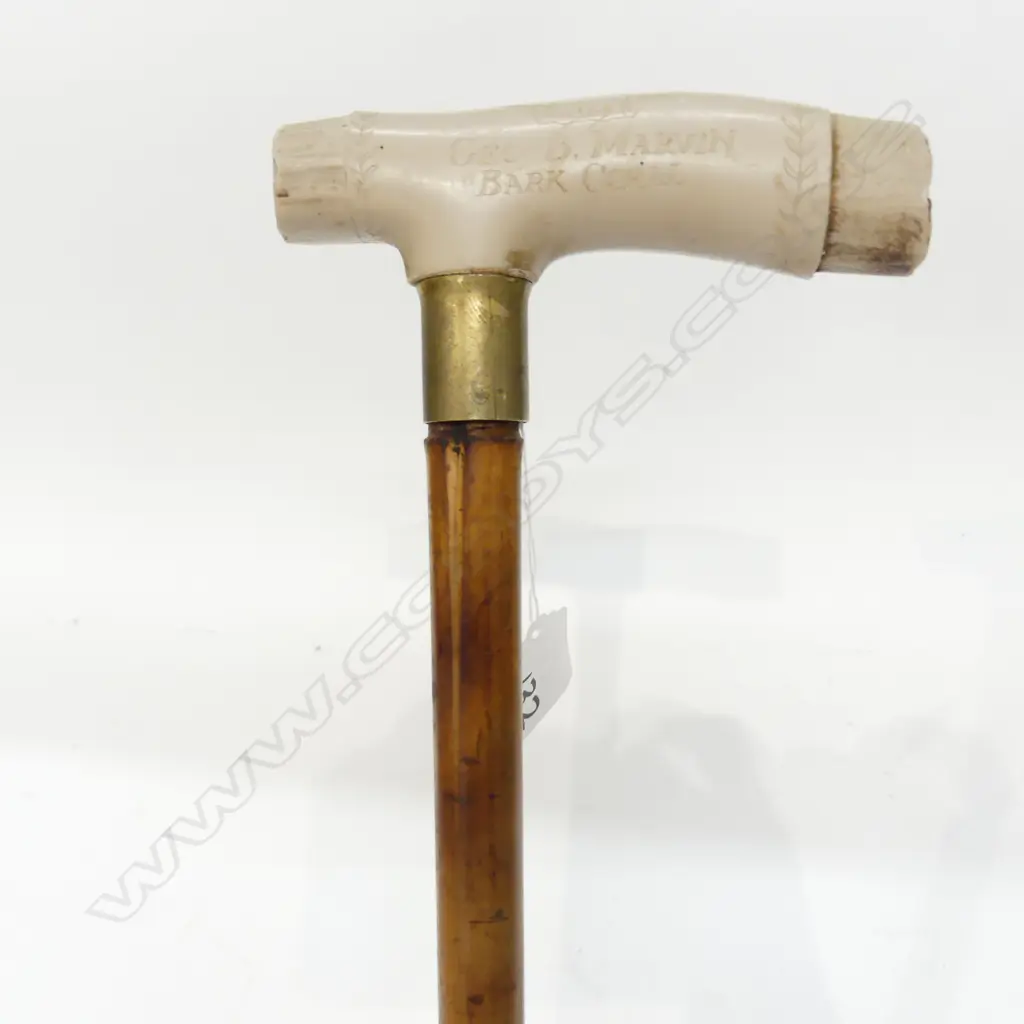 SWORD STICK WITH FAUX CORAL SCRIMSHAW HANDLE Image 1++