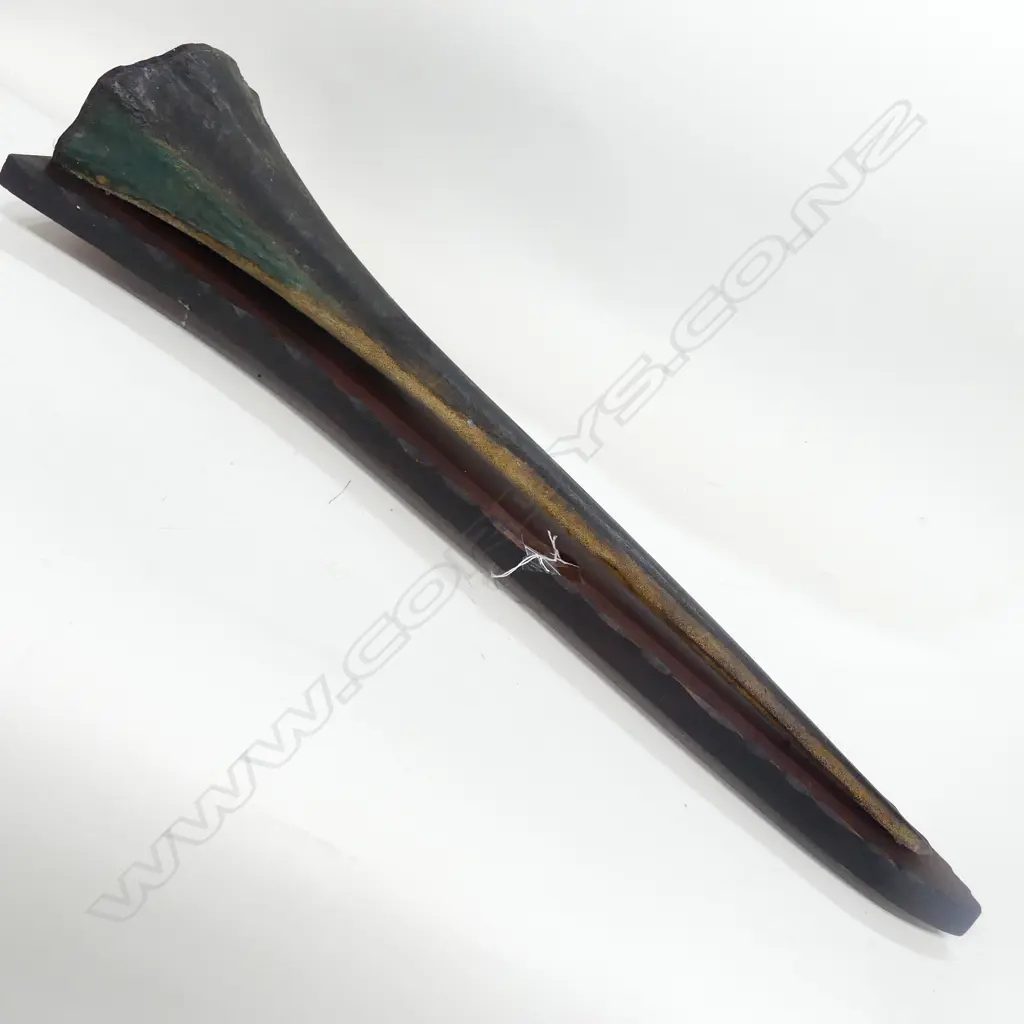 MOUNTED SWORD FISH BILL L 630 MM Image 1++