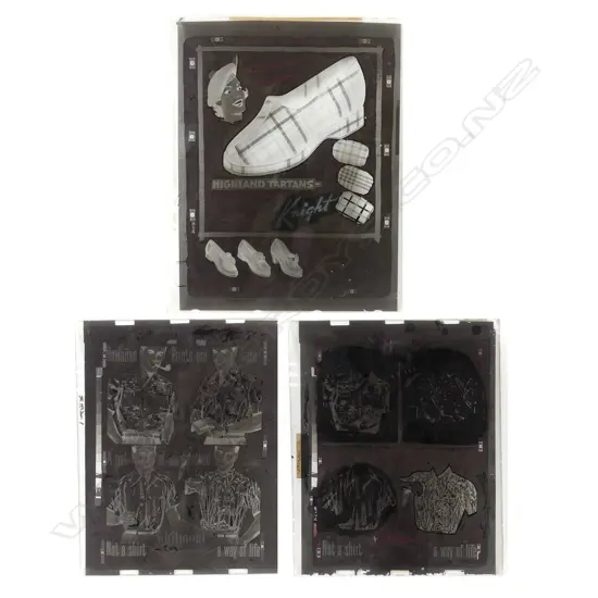 Three large format glass plate negatives