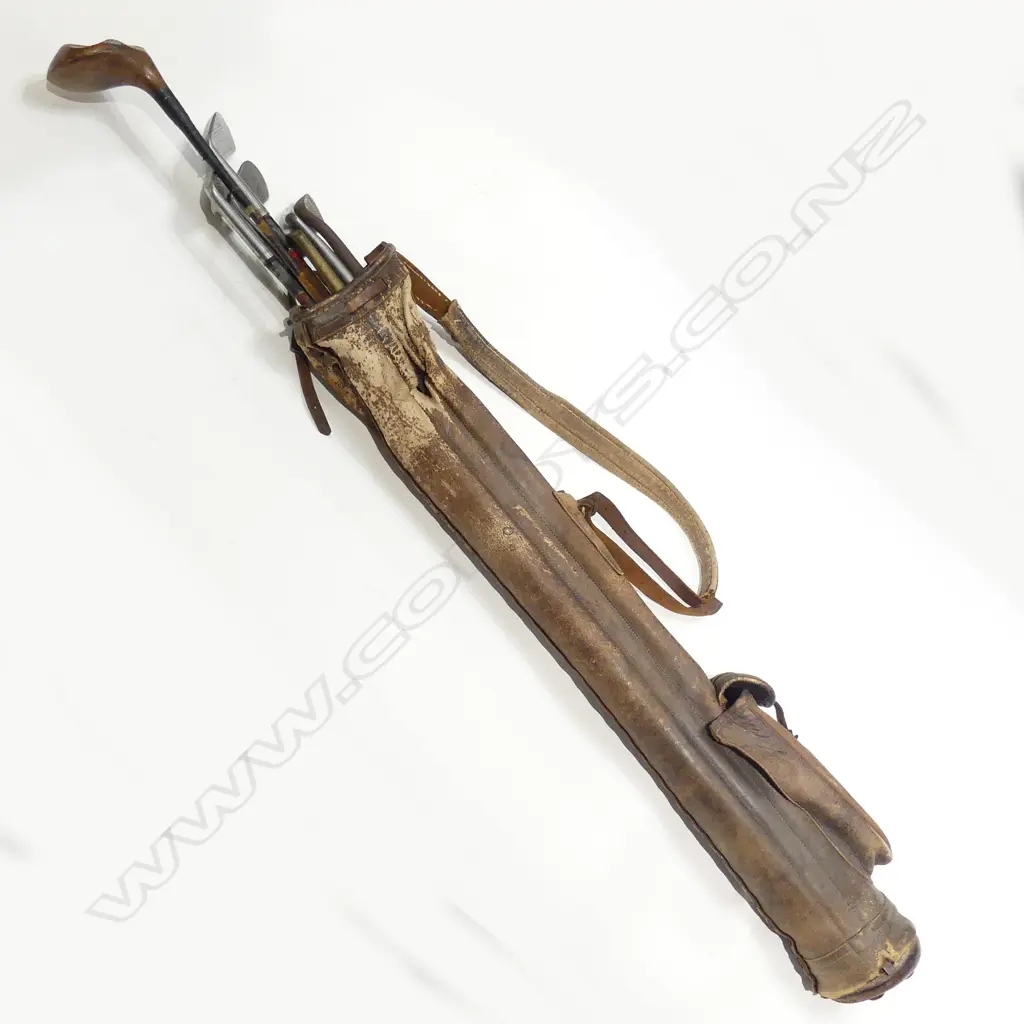 LEATHER GOLF CASE AND SEVEN CLUBS Image 1++