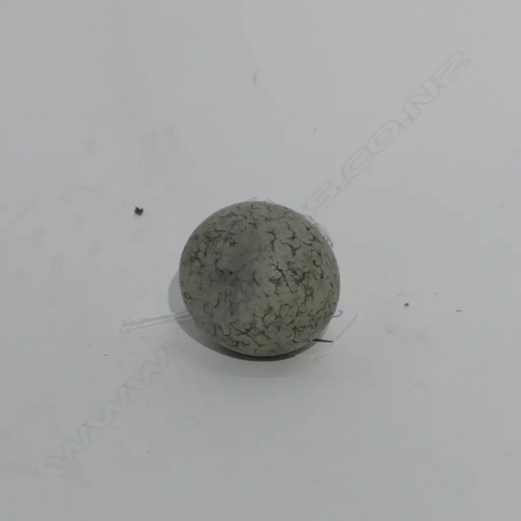 POLISHED CONGLOMERATE MOA GIZZARD STONE, 35 x 31mm Image 1++