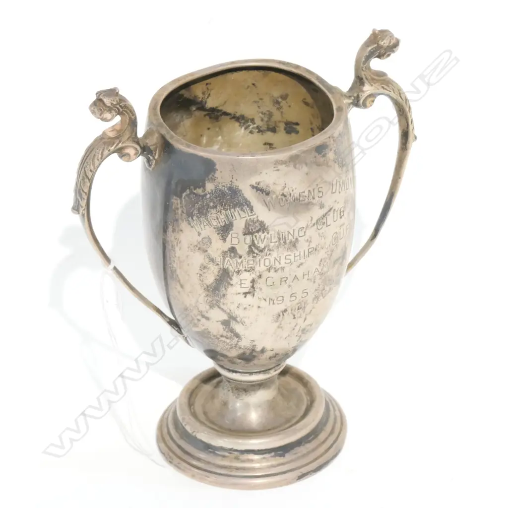 STG SILVER TROPHY/NAPKIN AND ASST BADGES Image 1++