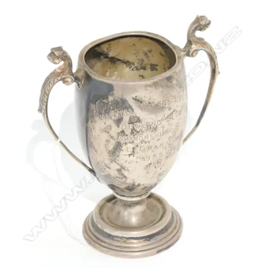 STG SILVER TROPHY/NAPKIN AND ASST BADGES