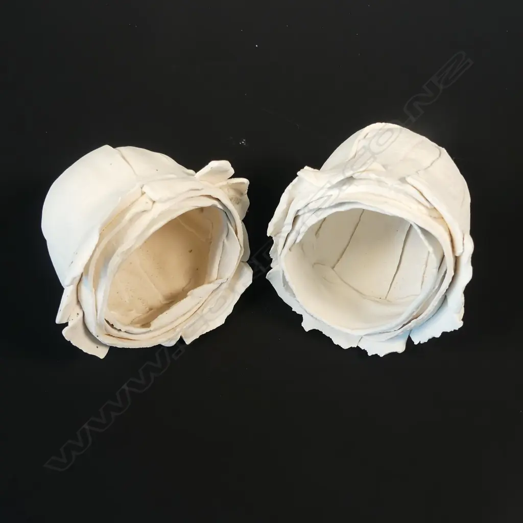 CHRISTINE BOSWIJK TWO POD VASES Image 1++