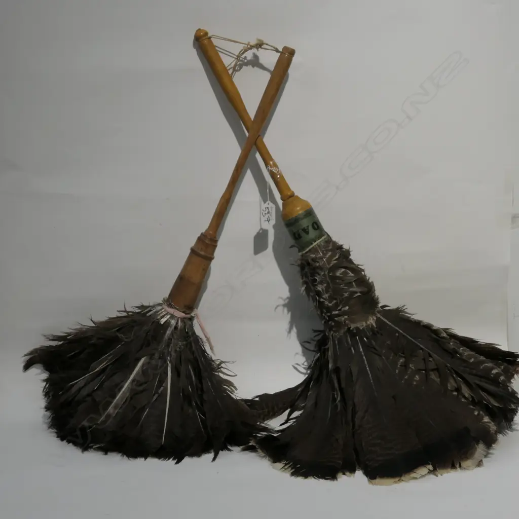 2 FEATHER DUSTERS Image 1++