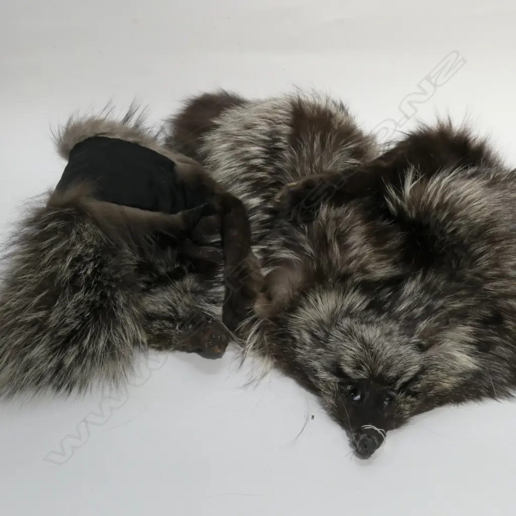 2 X FUR STOLES/SILVER FOX Image 1++