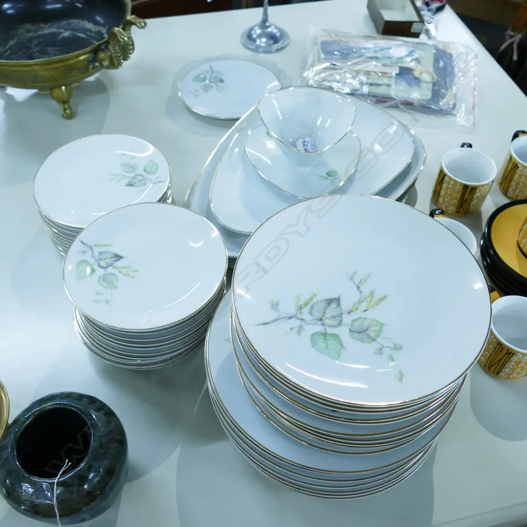 VINTAGE STYLISH HUTSCHENREUTHER DINNER SERVICE 'DIADEM' Image 1++