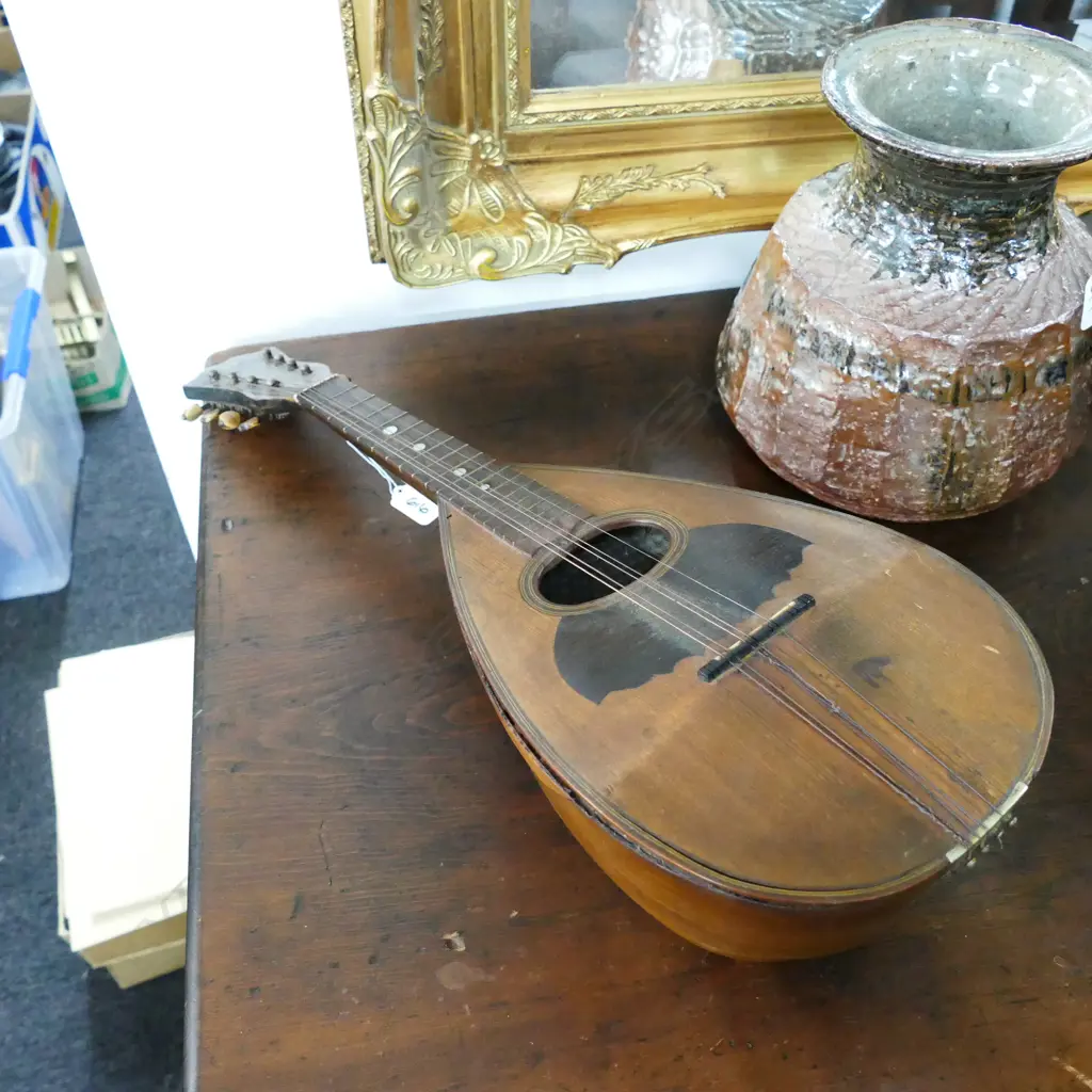 IL CLORO MANDOLIN Image 1++