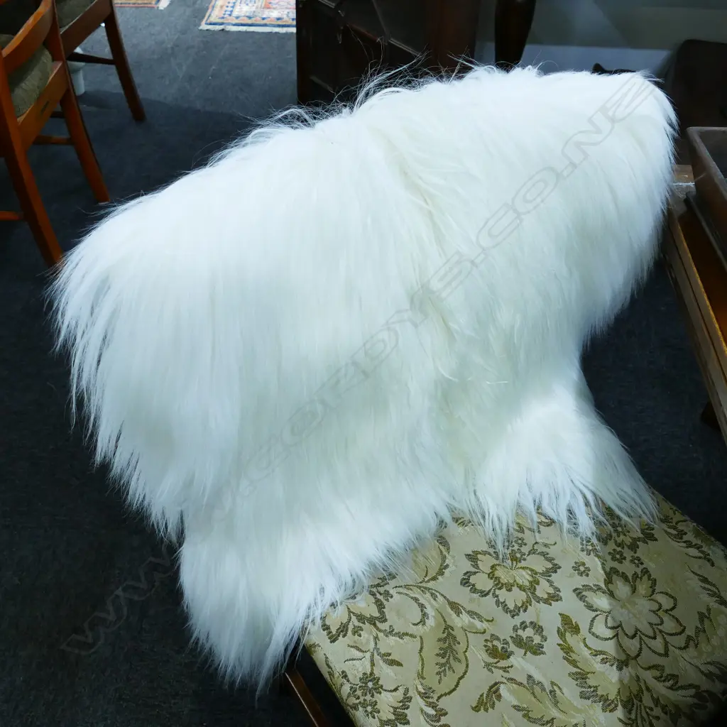 MONGOLIAN GOAT WHITE Image 1++