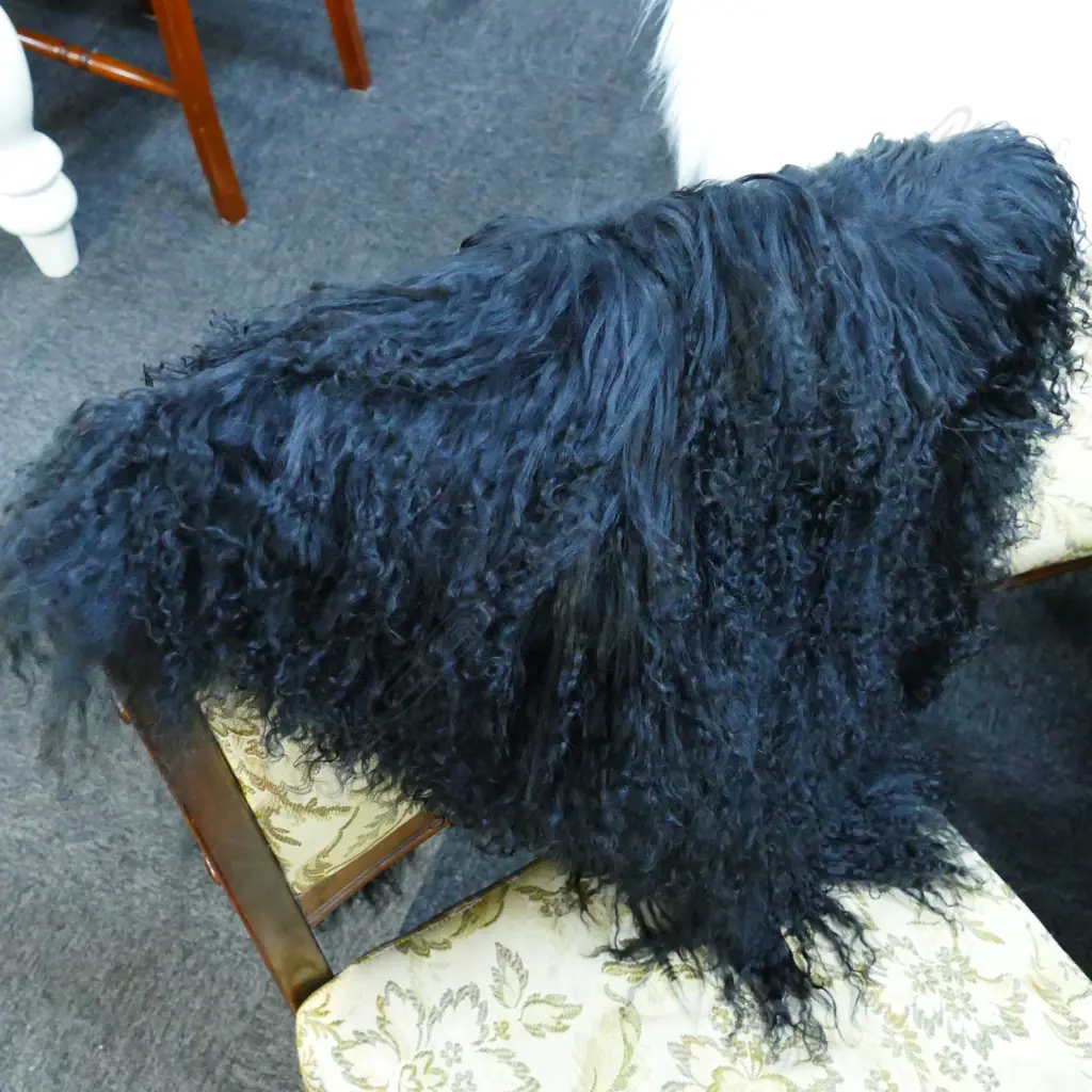 CURLY HAIR TIBETAN LAMB BLACK Image 1++