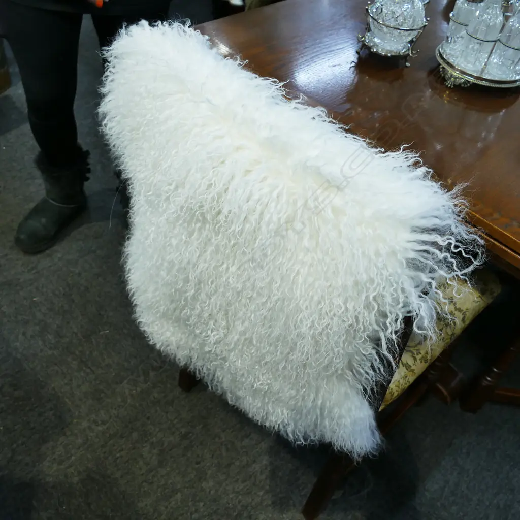 CURLY HAIR TIBETAN LAMB IVORY Image 1++