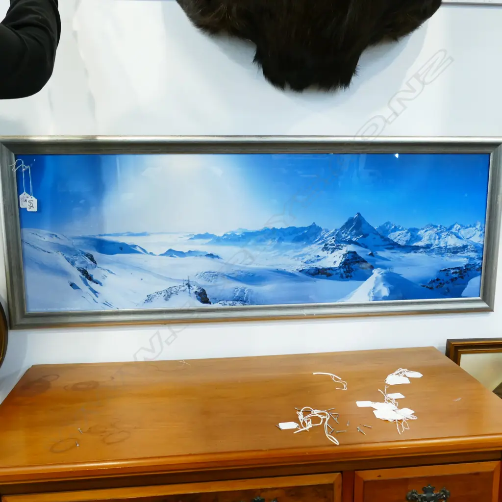 PHOTO, SAMPLER & FOUR PRINTS Image 1++