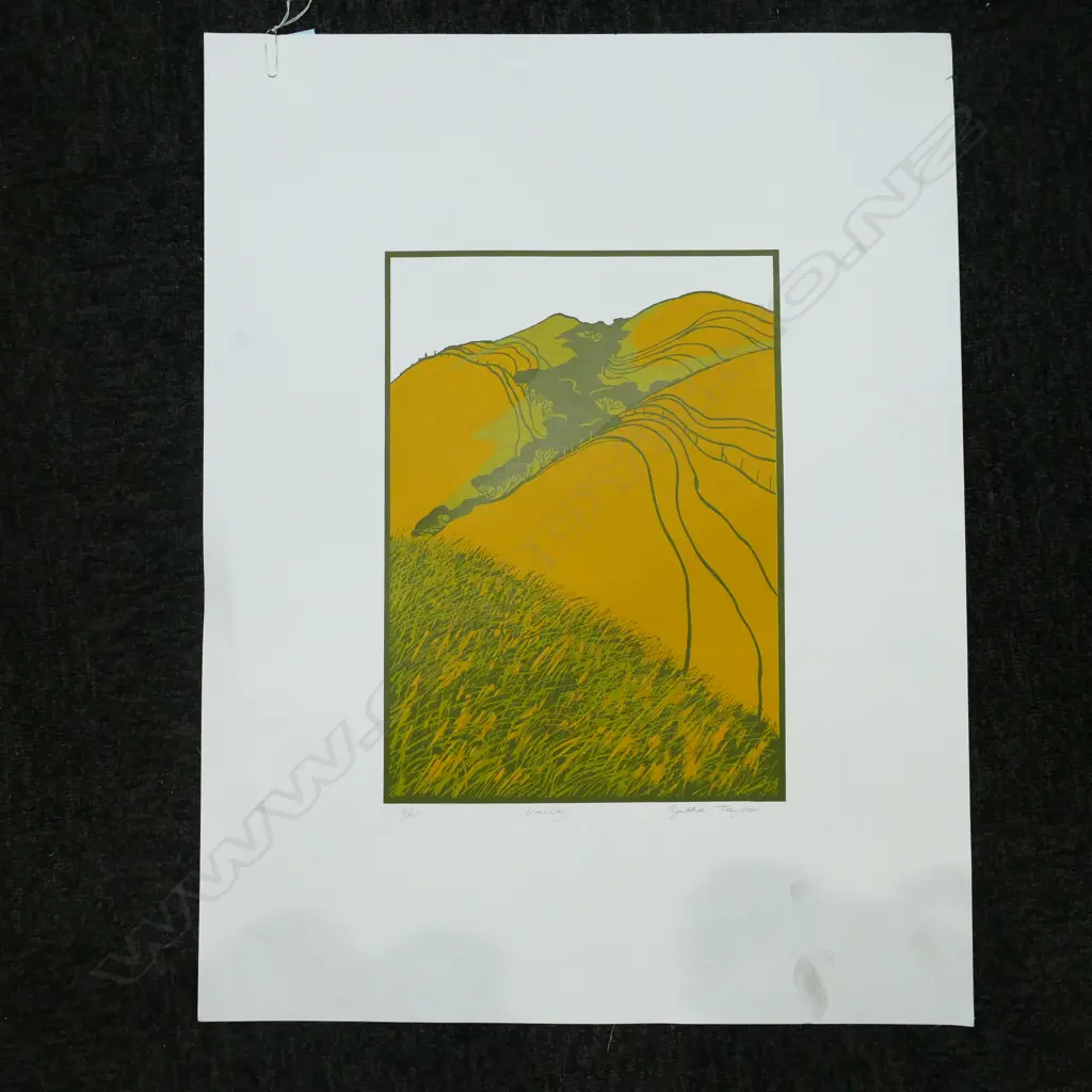 CYNTHIA TAYLOR SCREENPRINT 'VALLEY' 9/45 H. 360 W. 260 Image 1++