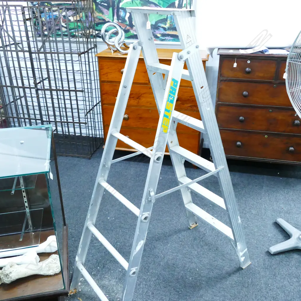 6 STEP ALUMINIUM LADDER Image 1++