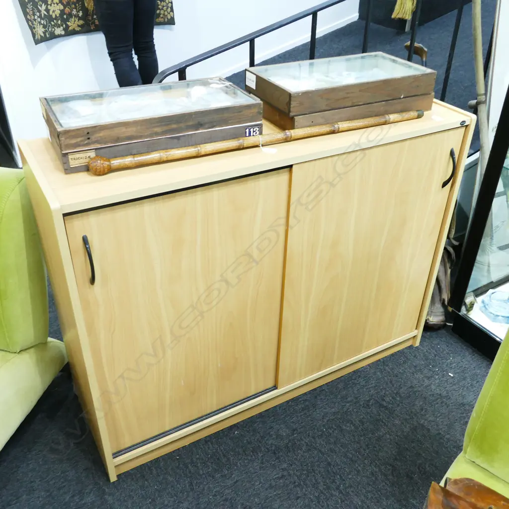 LAMINATE 2 DOOR CUPBOARD Image 1++