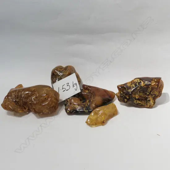 FIVE POLISHED PIECES OF KAURI GUM 1.53KG