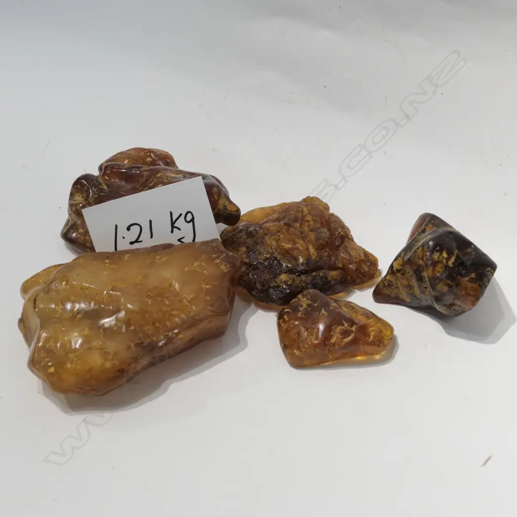 FIVE POLISHED PIECES OF KAURI GUM 1.21KG Image 1++