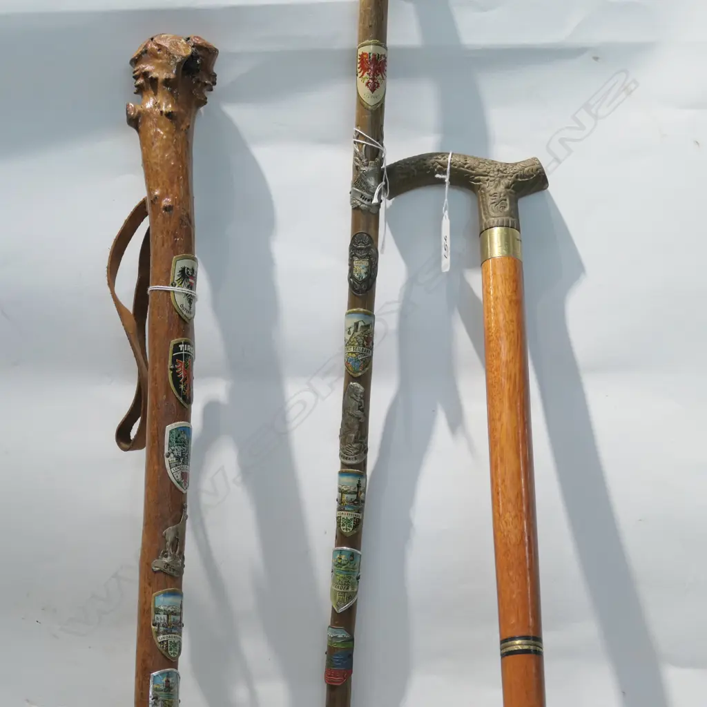 3 WALKING STICKS WITH ASSORTED MOUNTED BADGES ETC Image 1++