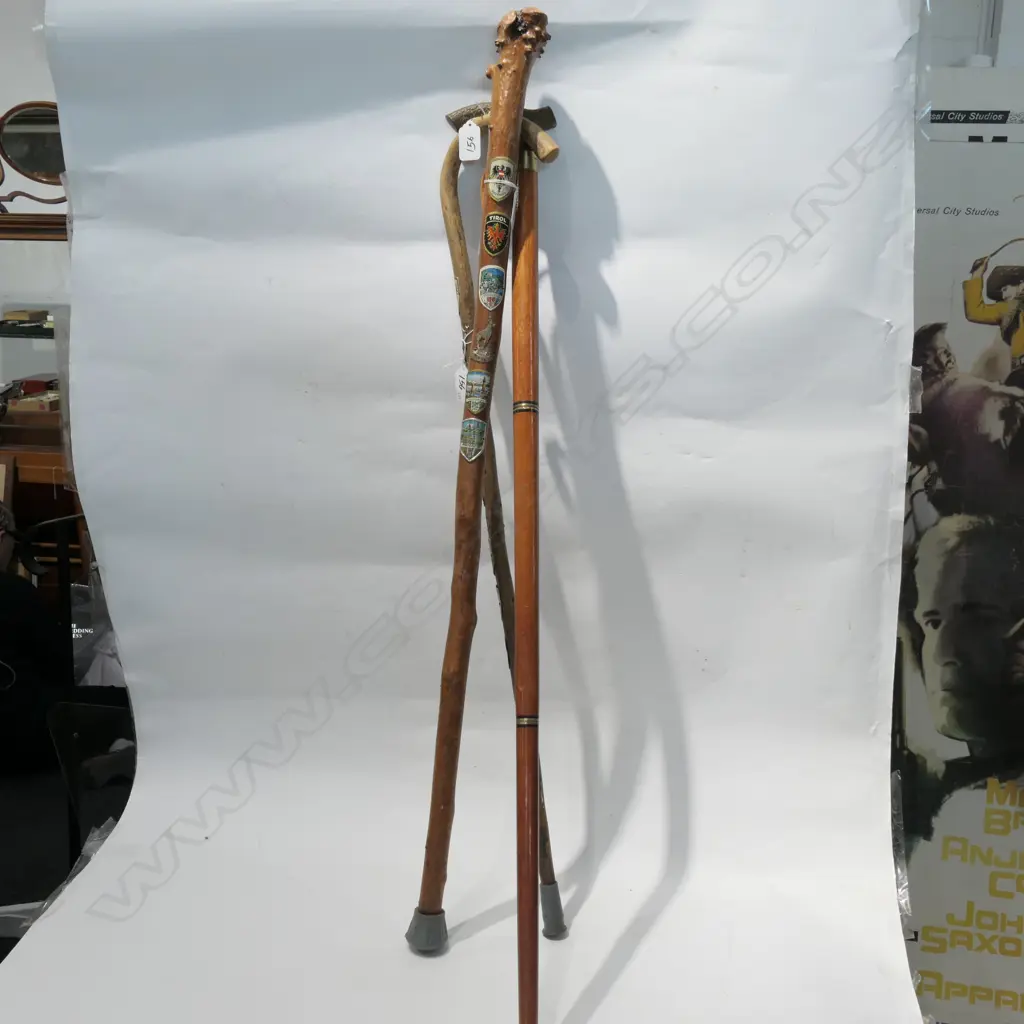 3 WALKING STICKS WITH ASSORTED MOUNTED BADGES ETC Image 1++