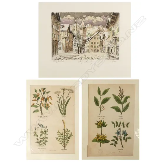 Two antique plant lithographs (240 X 320mm) ; small hand coloured engraving of a village scene (250 x 180mm)
