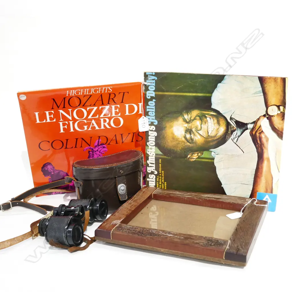 RECORDS/FRAME/NIKON BINOCULARS  Image 1++