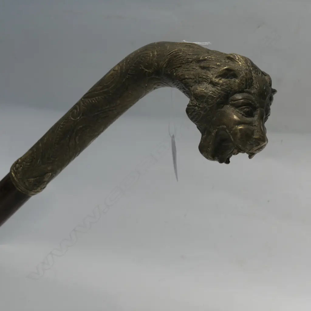 HARDWOOD WALKING STICK WITH BRASS SNARLING LION HANDLE Image 1++