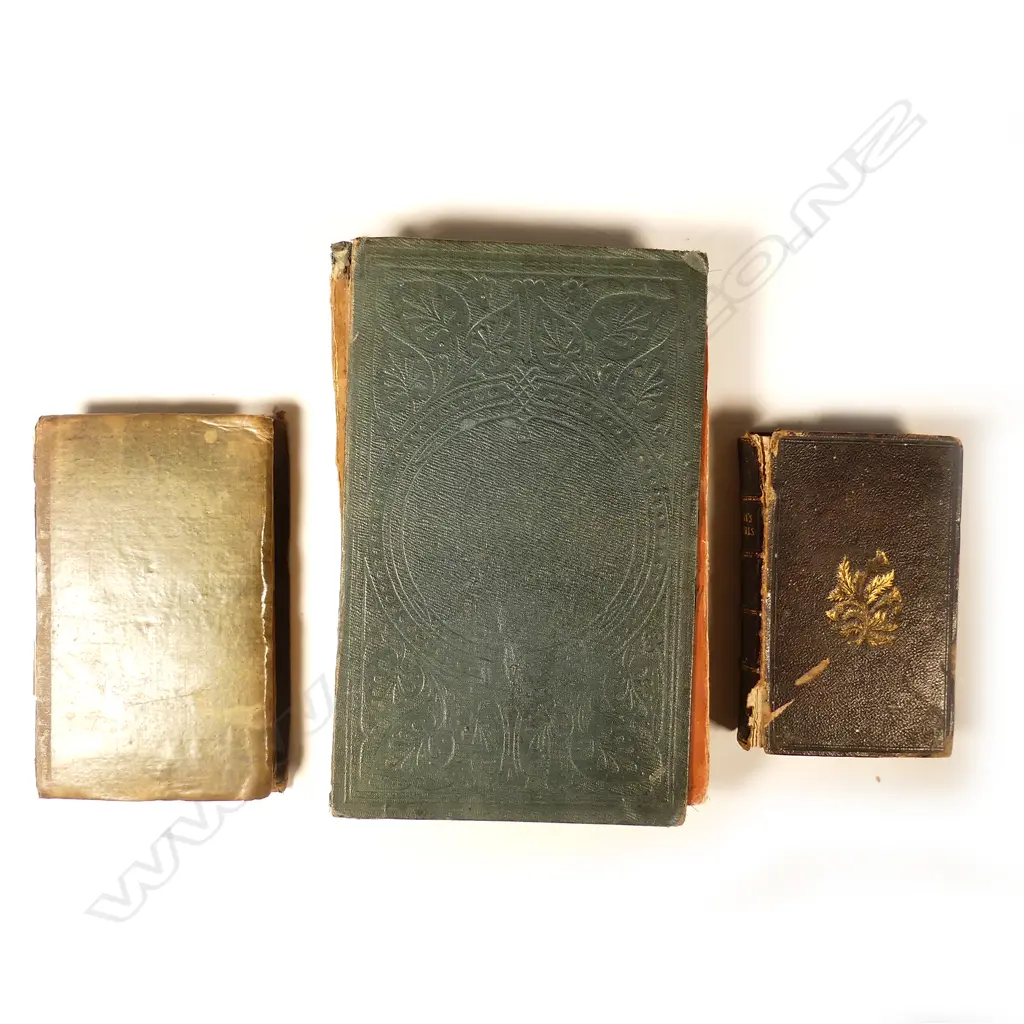 THREE GOOD EARLY 19THC TRAVEL BOOKS Image 1++