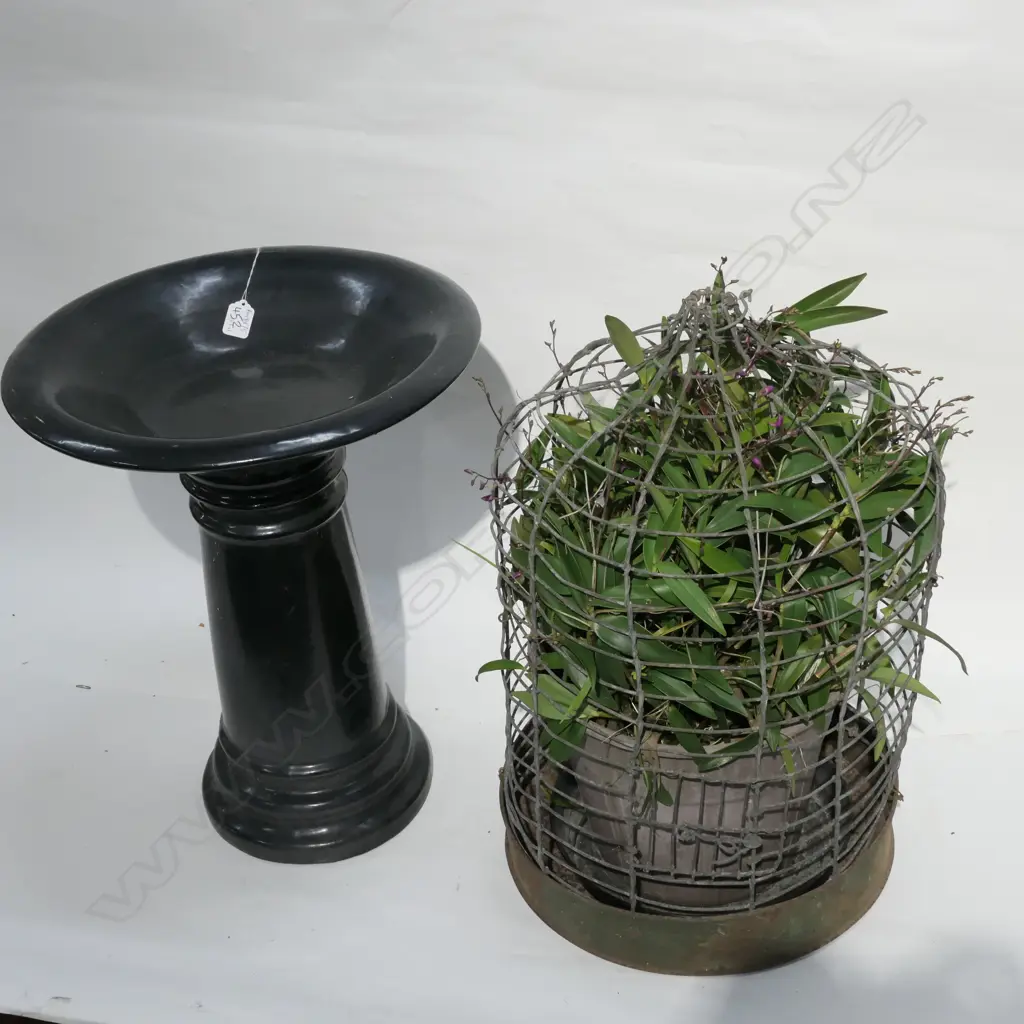 GARDEN BIRD BATH 550MM H AND ORCHID PLANT IN VINTAGE BIRD CAGE  Image 1++