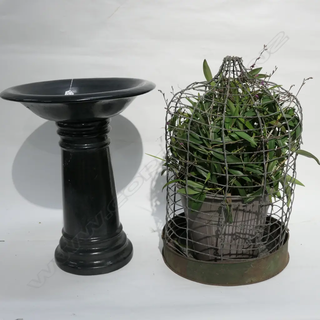 GARDEN BIRD BATH 550MM H AND ORCHID PLANT IN VINTAGE BIRD CAGE  Image 1++