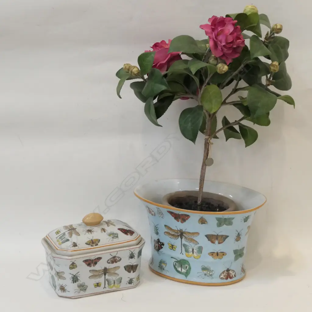 2 CHINESE POLYCHROME INSECT DECORATED PCES; JARDINERE AND BOX Image 1++