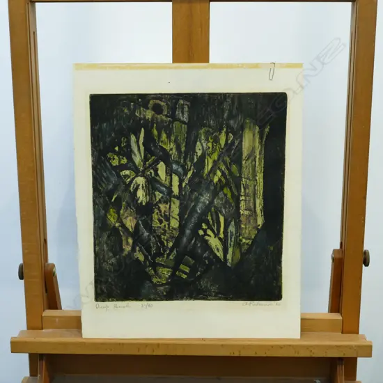 ALISON PICKMERE ‘DEEP BUSH’ PRINT 31/80