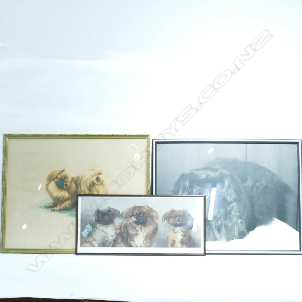 3 FRAMED PEKINGESE PRINTS LARGEST H 510MM W 630MM Image 1++