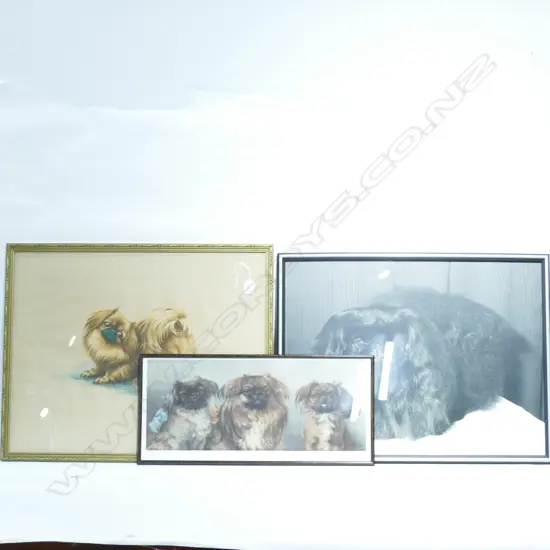 3 FRAMED PEKINGESE PRINTS LARGEST H 510MM W 630MM