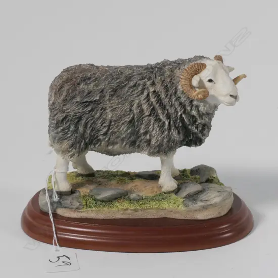 BORDER FINE ARTS HERDWICK RAM 