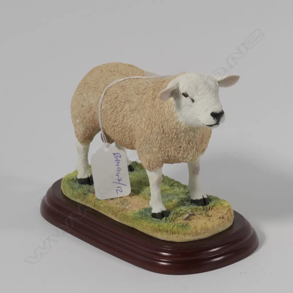 BORDER FINE ARTS TEXEL RAM--BOXED Image 1++