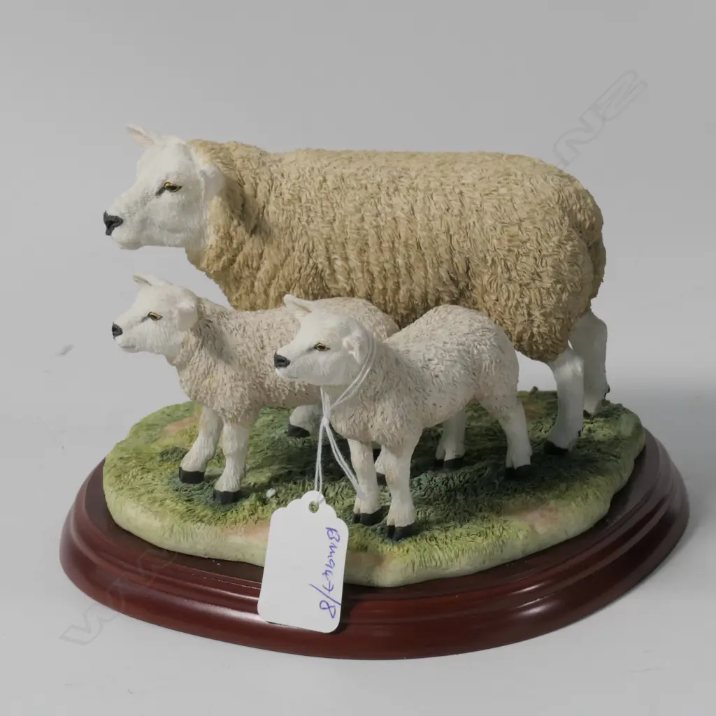 BORDER FINE ARTS TEXEL EWE & LAMBS--BOXED Image 1++