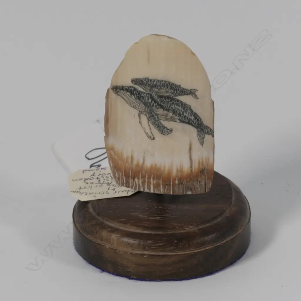 SCRIMSHAW OF 2 WHALES ON FOSSIL MASTODON BY LINDA PETREE C 1980 ALASKA L 80 MM Image 1++
