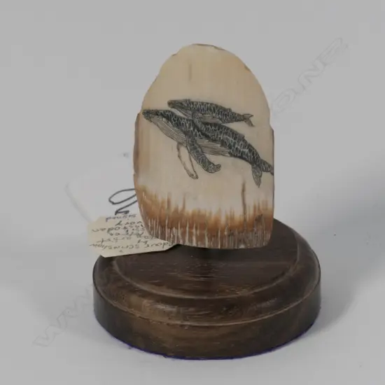 SCRIMSHAW OF 2 WHALES ON FOSSIL MASTODON BY LINDA PETREE C 1980 ALASKA L 80 MM