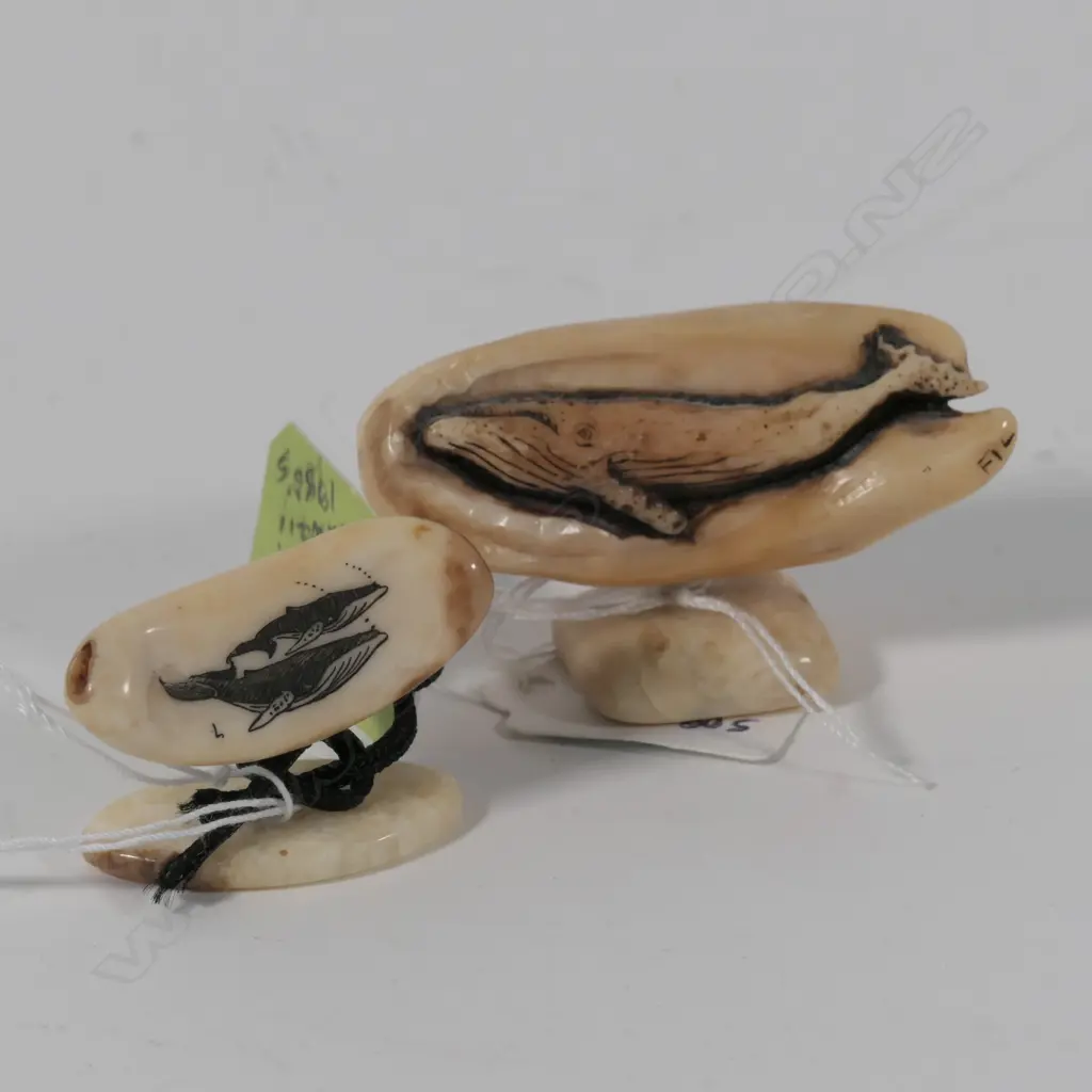 2 SCRIMSHAW ON FOSSIL TEETH OF WHALES BOTH C 1980 HAWAII L 50 MM Image 1++