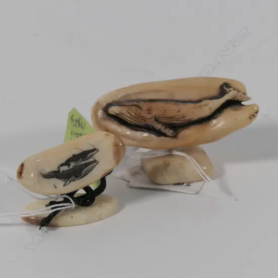 2 SCRIMSHAW ON FOSSIL TEETH OF WHALES BOTH C 1980 HAWAII L 50 MM