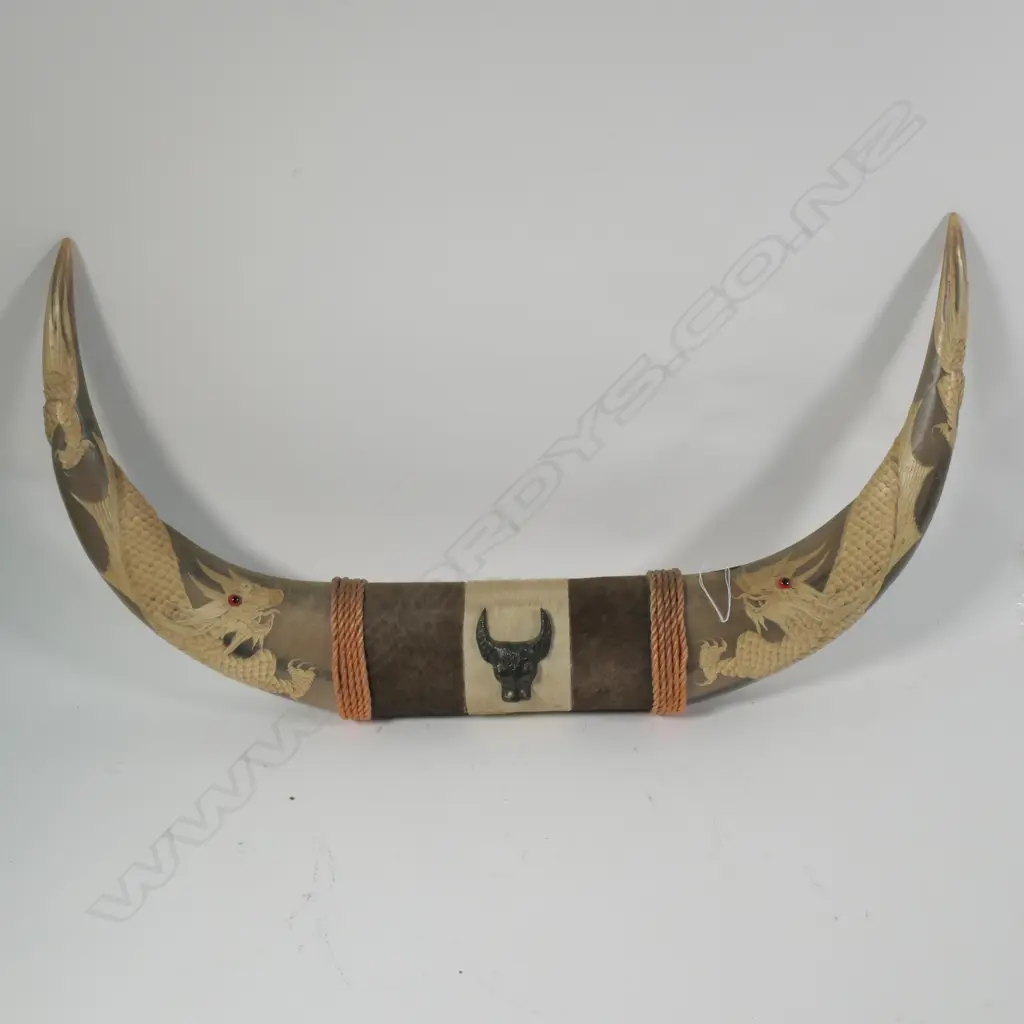 PR OX HORNS MOUNTED & DRAGON CARVED L.700mm Image 1++