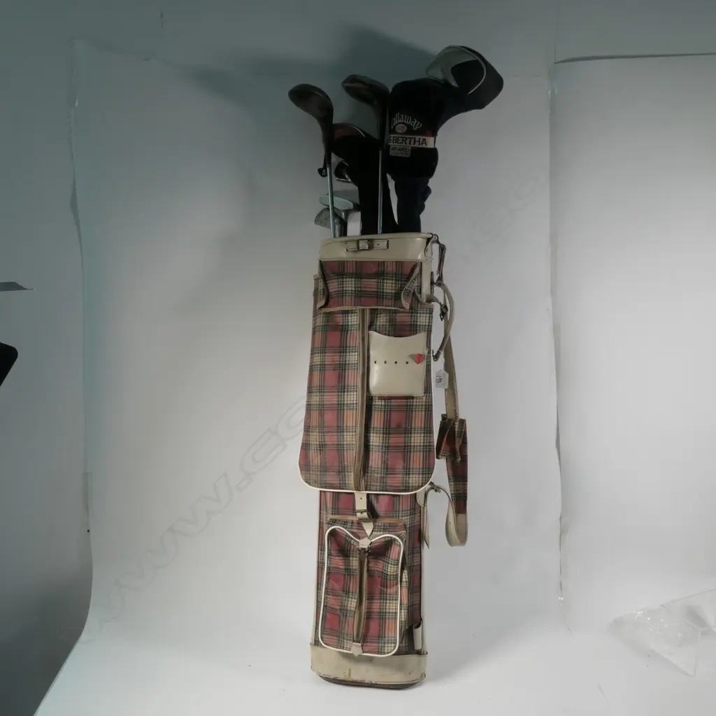 SET OF GOLF CLUBS AND BAG Image 1++