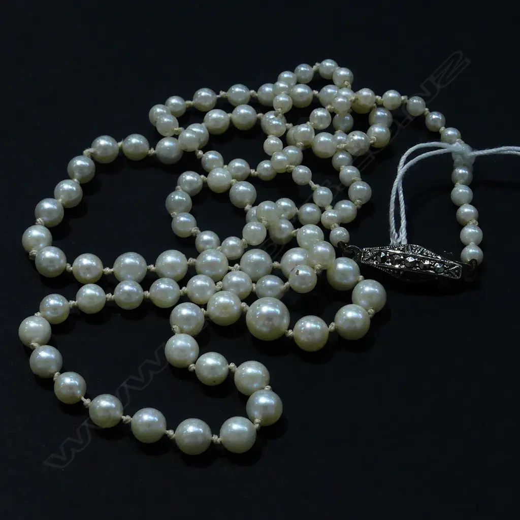 CULTURED PEARL NECKLACE REPLACEMENT VALUATION $1780 (A59) Image 1++